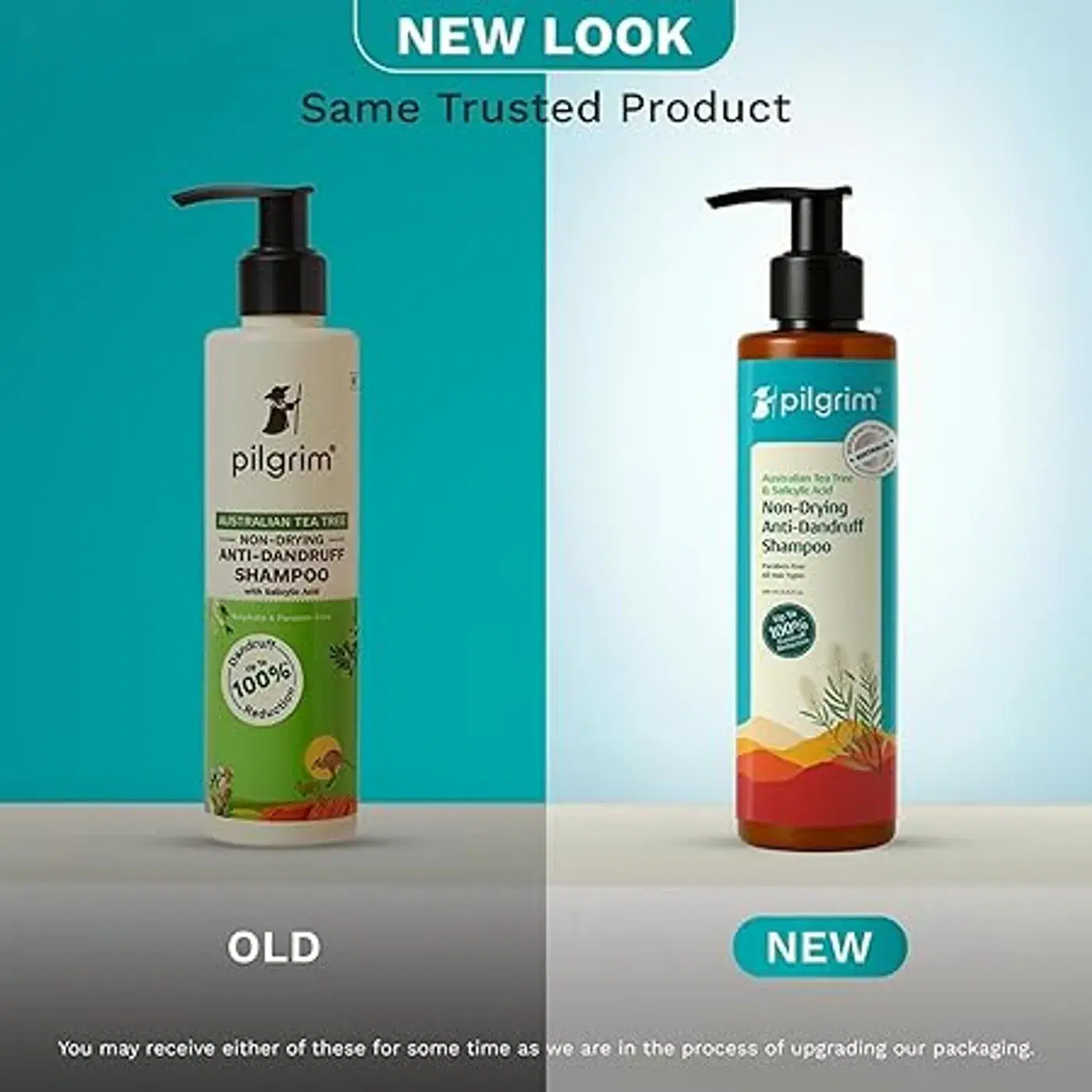 Pilgrim Australian Tea Tree Non-Drying Anti-Dandruff Shampoo | डैंड्रफ जड़ से हटाए | खुजली और जलन में मदद | मजबूत और स्मूद बाल | पुरुष और महिलाओं के लिए 2