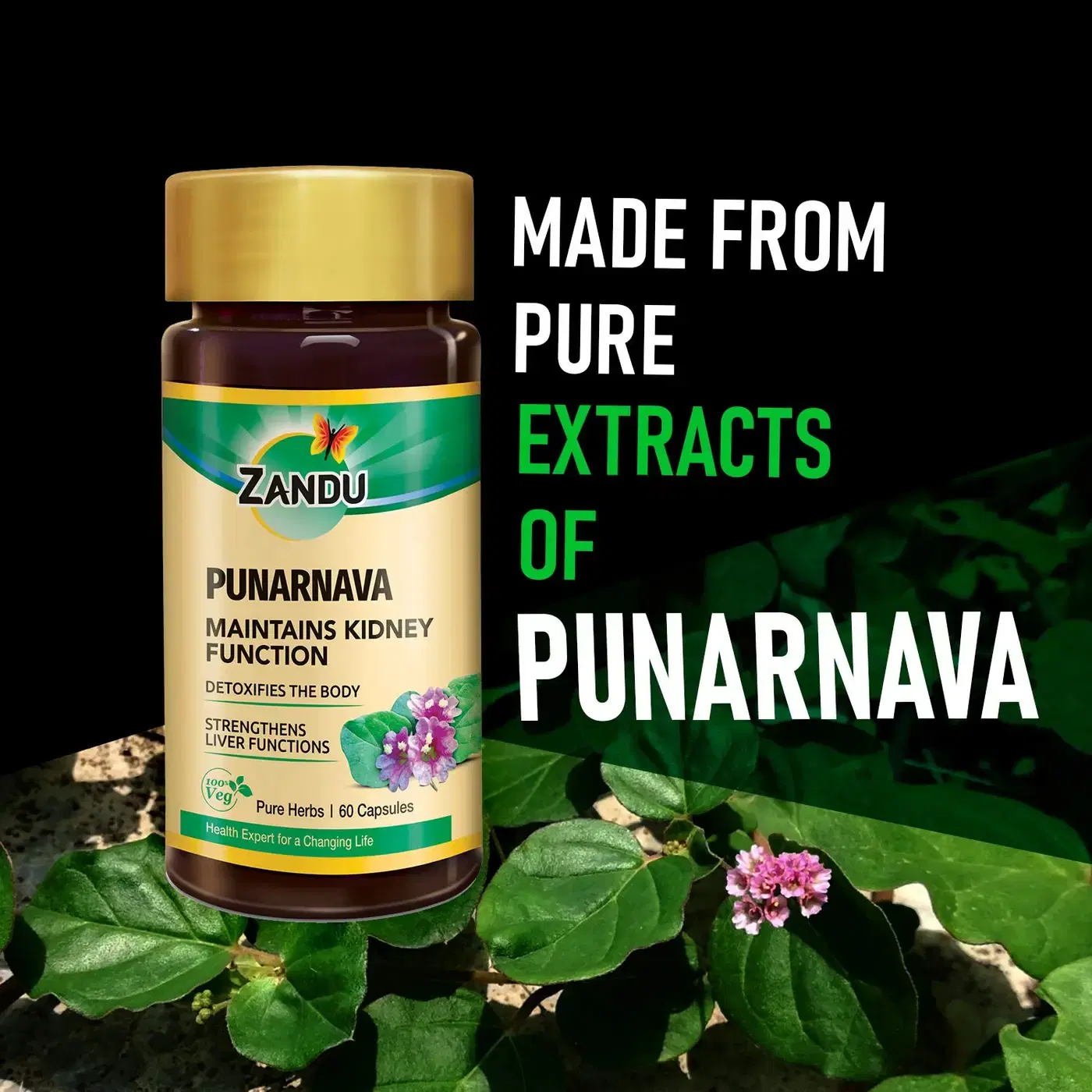 Zandu Punarnava | Supports Kidney, Liver & Fluid Balance 4 Zandu Punarnava with electrolyte balancing properties | Maintains Kidney Function & Strengthens Liver Functions 4