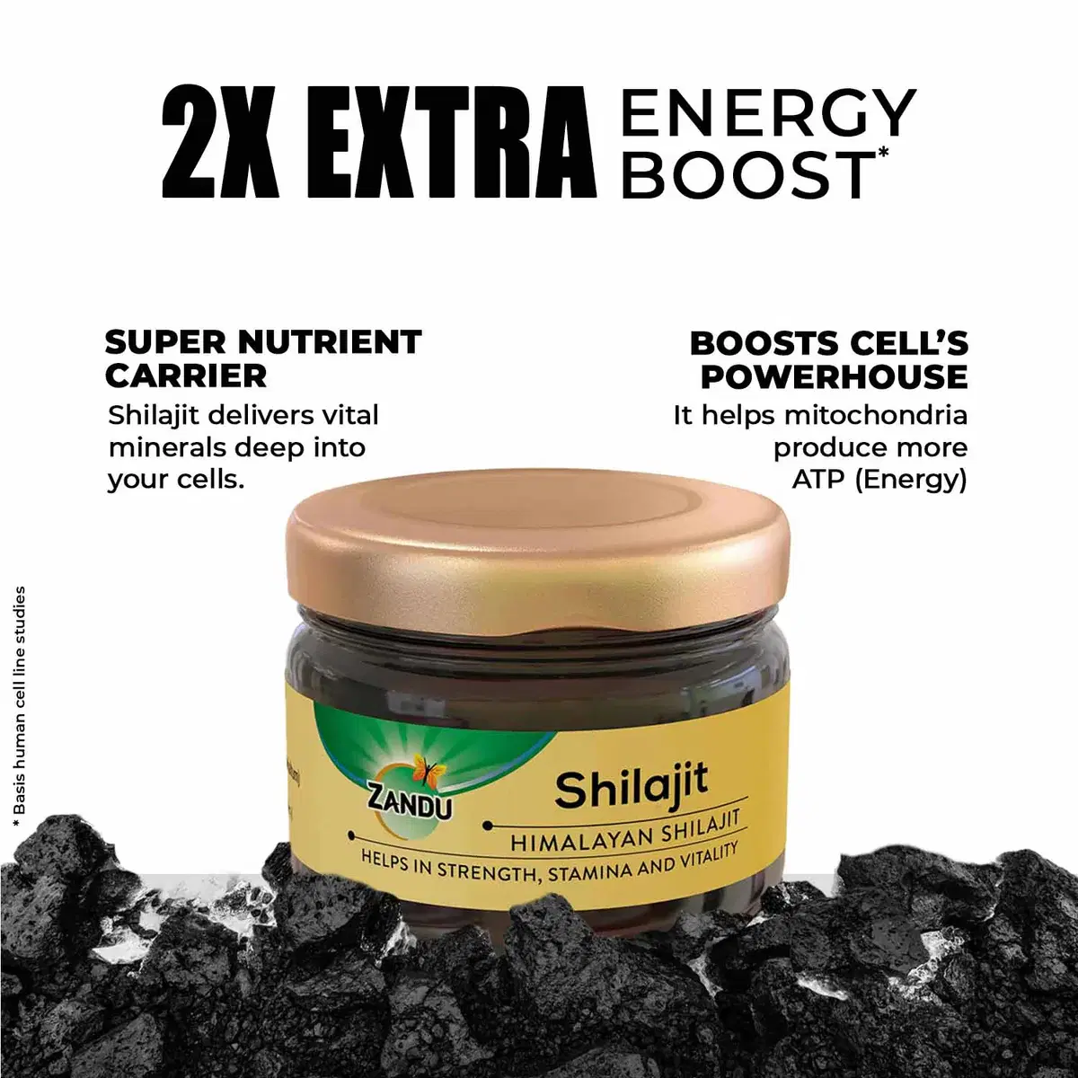 Zandu Shilajit Resin for Energy, Stamina & Vitality Boost 15 ઊર્જા અને જીવનશક્તિ માટે ઝંડુ હિમાલયન શિલાજીત રેઝિન 15