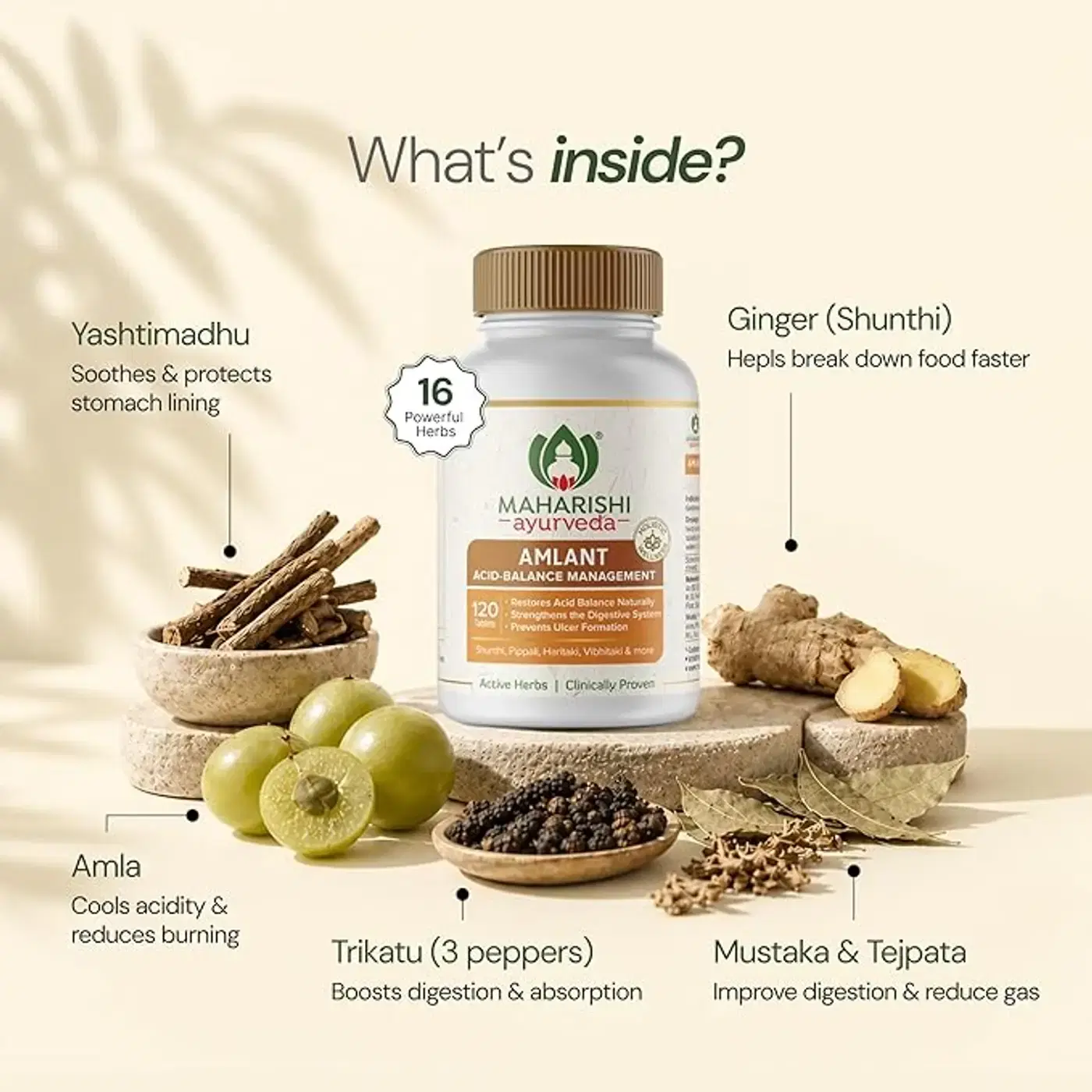 Maharishi Ayurveda Amlant | Soothes Acidity & Indigestion 4 মহারিষি আয়ুর্বেদ আমলান্ট অ্যাসিডিটি, হার্টবার্ন, গ্যাস ও পেট ফাঁপার জন্য, হজমতন্ত্রকে শক্তিশালী করে, অ্যাসিডিটি পুনরাবৃত্তি কমাতে সাহায্য করে, অ্যাসিডিটি থেকে দ্রুত আরাম, ক্লিনিক্যালি প্রমাণিত, হরিতকি ও আরও ১৪টি শক্তিশালী ভেষজে সমৃদ্ধ 4
