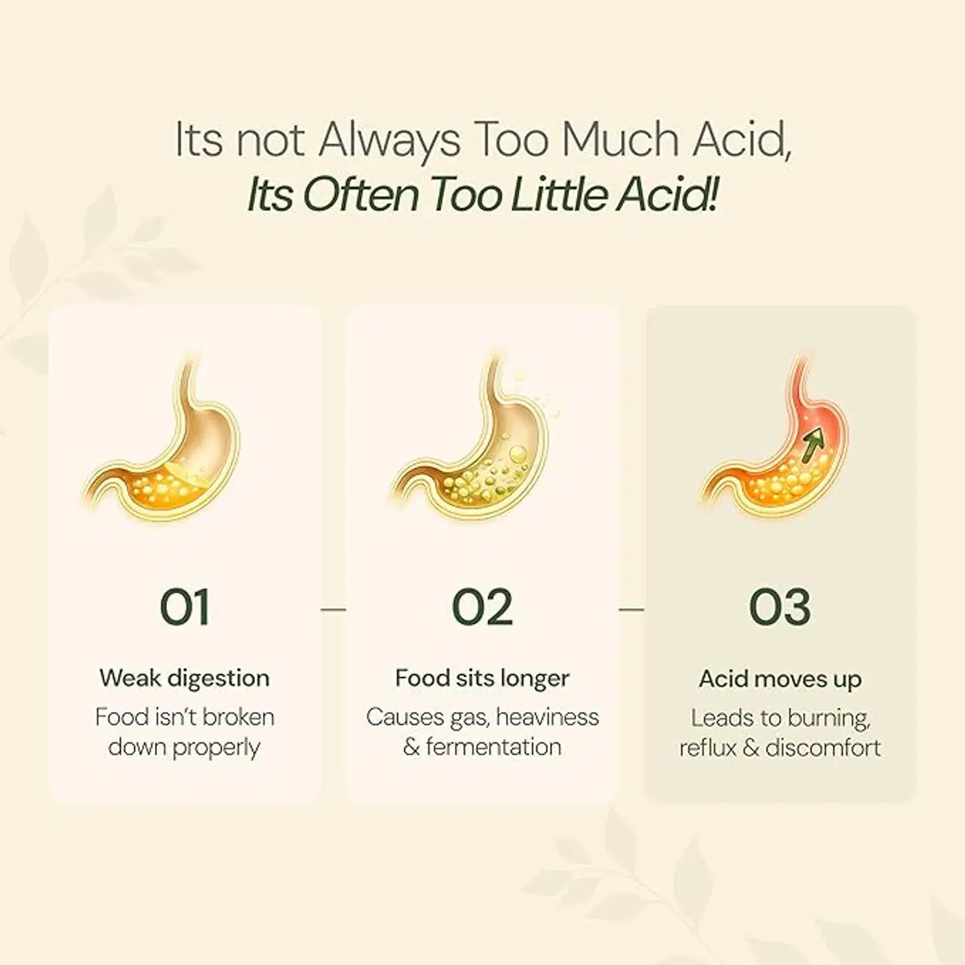 Maharishi Ayurveda Amlant | Soothes Acidity & Indigestion 5 মহারিষি আয়ুর্বেদ আমলান্ট অ্যাসিডিটি, হার্টবার্ন, গ্যাস ও পেট ফাঁপার জন্য, হজমতন্ত্রকে শক্তিশালী করে, অ্যাসিডিটি পুনরাবৃত্তি কমাতে সাহায্য করে, অ্যাসিডিটি থেকে দ্রুত আরাম, ক্লিনিক্যালি প্রমাণিত, হরিতকি ও আরও ১৪টি শক্তিশালী ভেষজে সমৃদ্ধ 5
