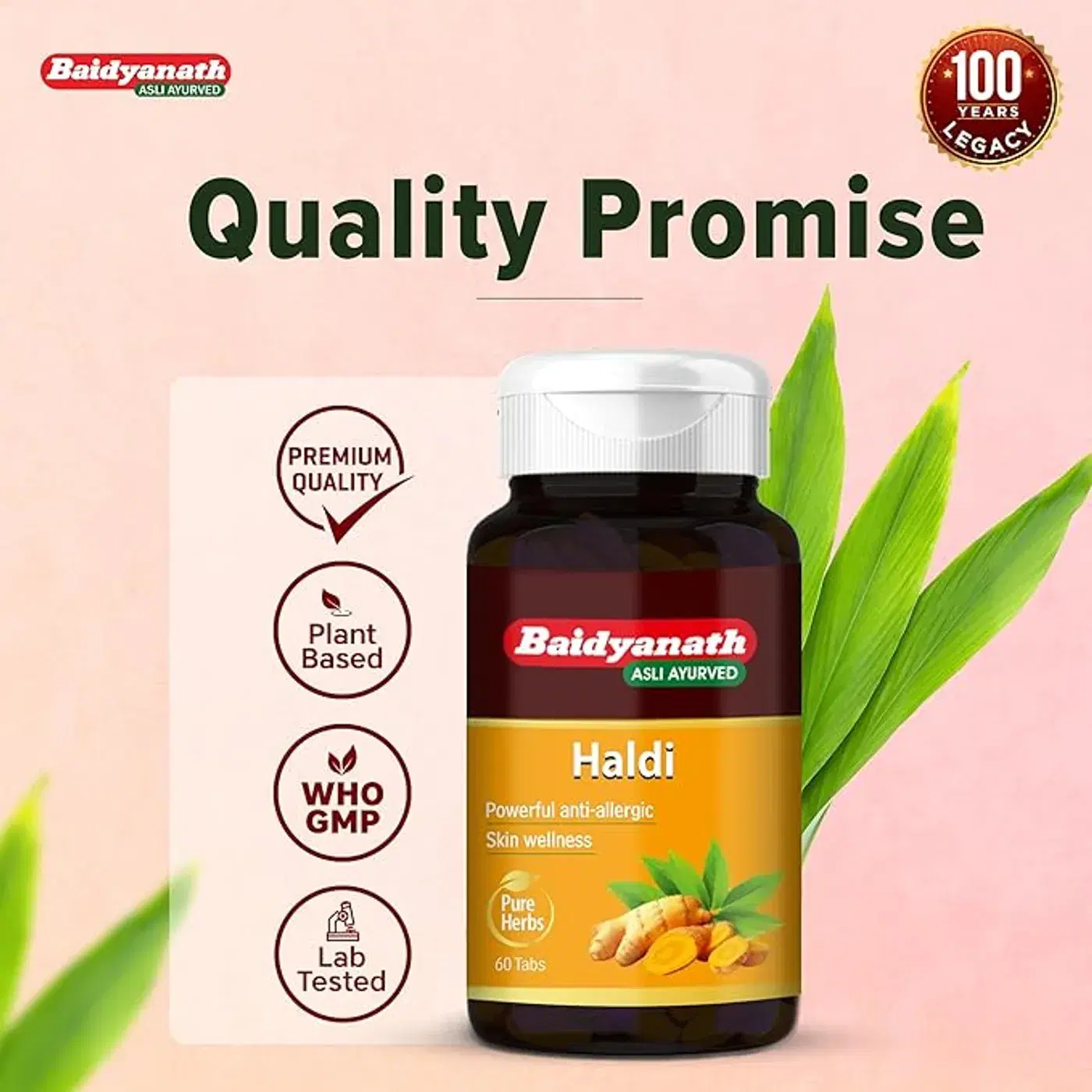 Baidyanath Haldi Tablets | Supports Immunity & Skin 4 बैद्यनाथ हळद गोळ्या आयुर्वेदिक हळद सप्लिमेंट हरिद्रा एक्स्ट्रॅक्टसह, त्वचा आणि रोगप्रतिकारशक्तीला समर्थन देते 4