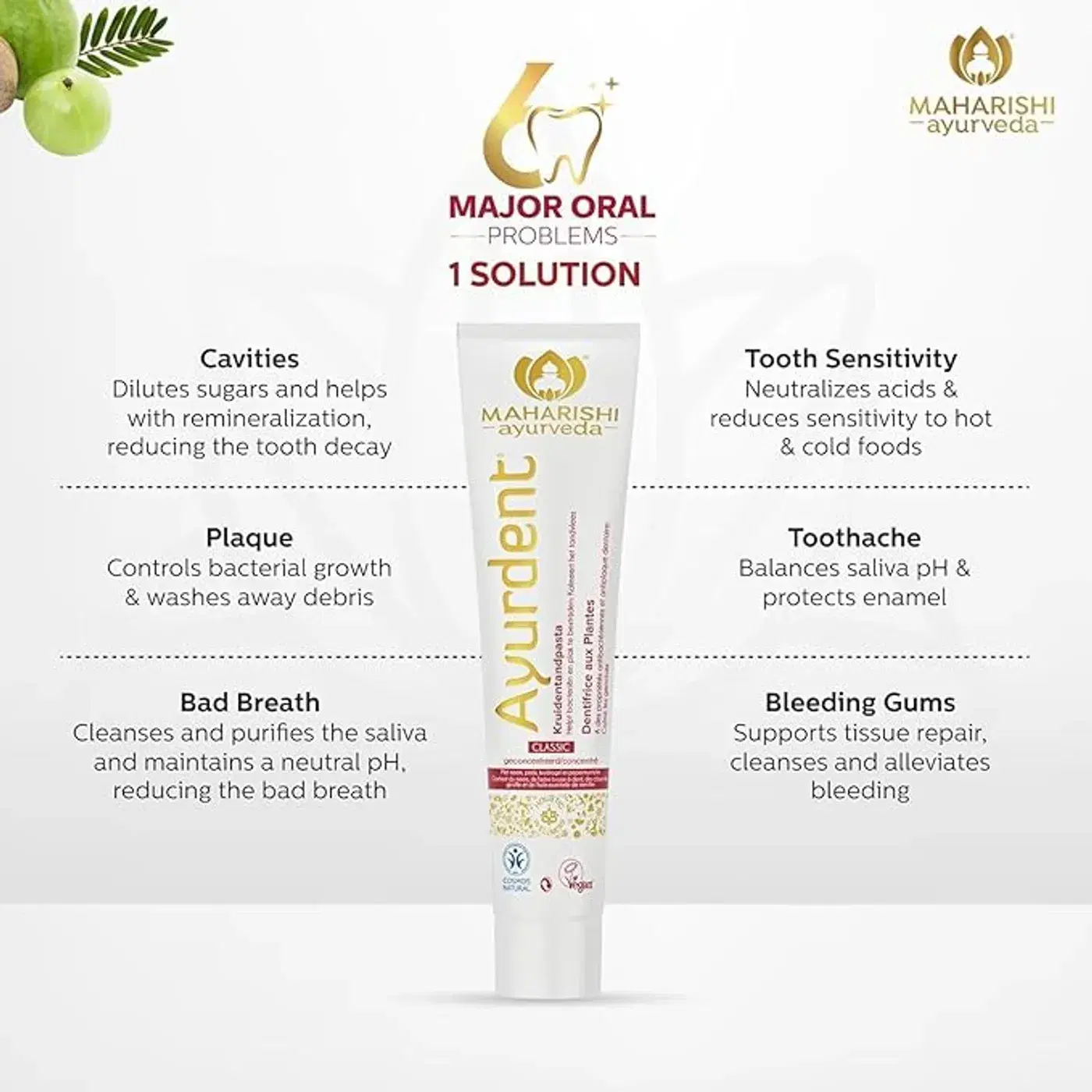 Ayurveda Ayurdent Classic Toothpaste | Complete Oral Care 3 आयुर्वेद आयुर्देंट क्लासिक टूथपेस्ट|अनूठा लार संतुलन फ़ॉर्मूला|दांत दर्द, मसूड़ों से खून आना, संवेदनशीलता, कैविटी, प्लाक और बदबू के लिए 3