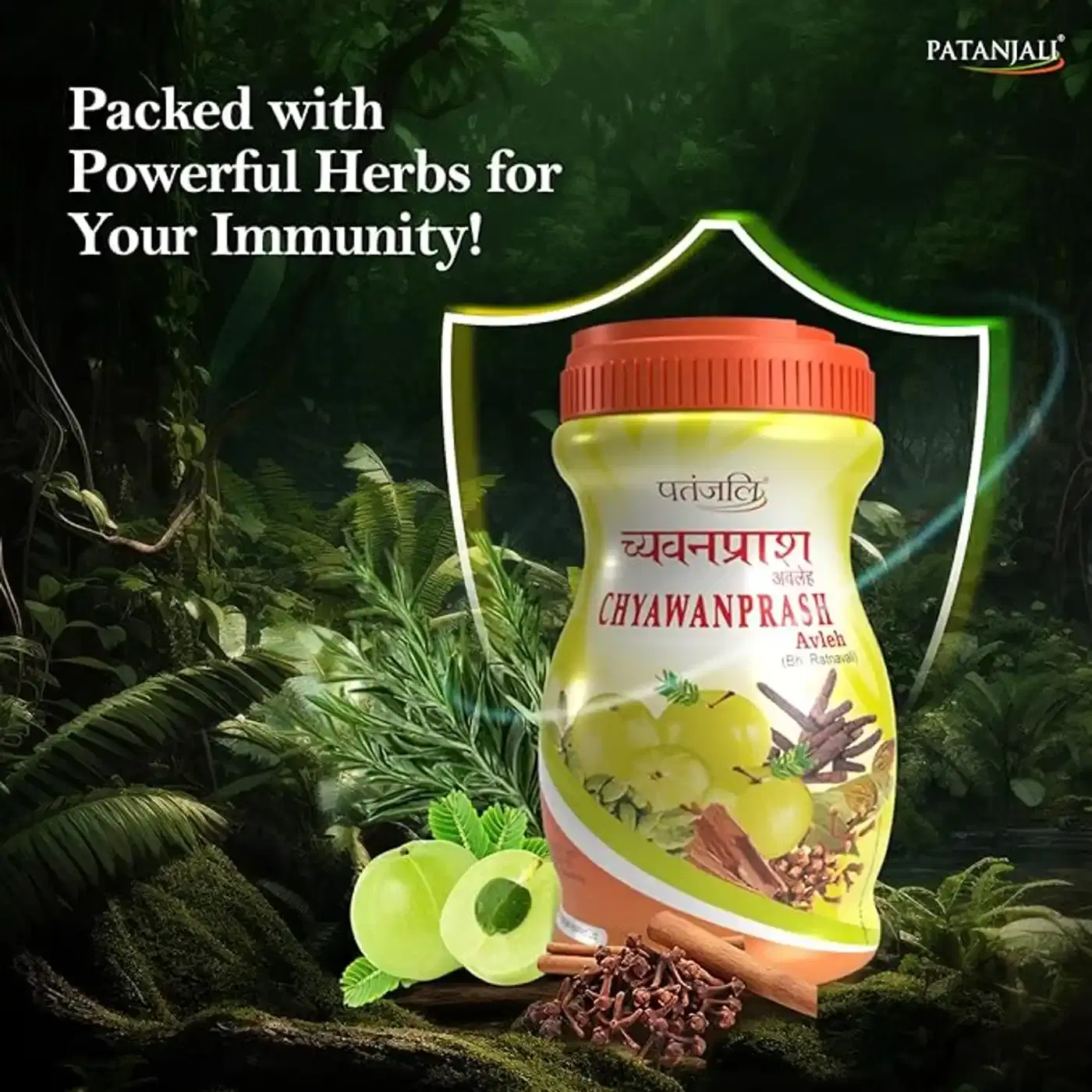 Patanjali Special Chyawanprash – Immunity & Wellness Boost 4 Patanjali Special Chyawanprash – Immunity Boost & Rejuvenating Formula 4