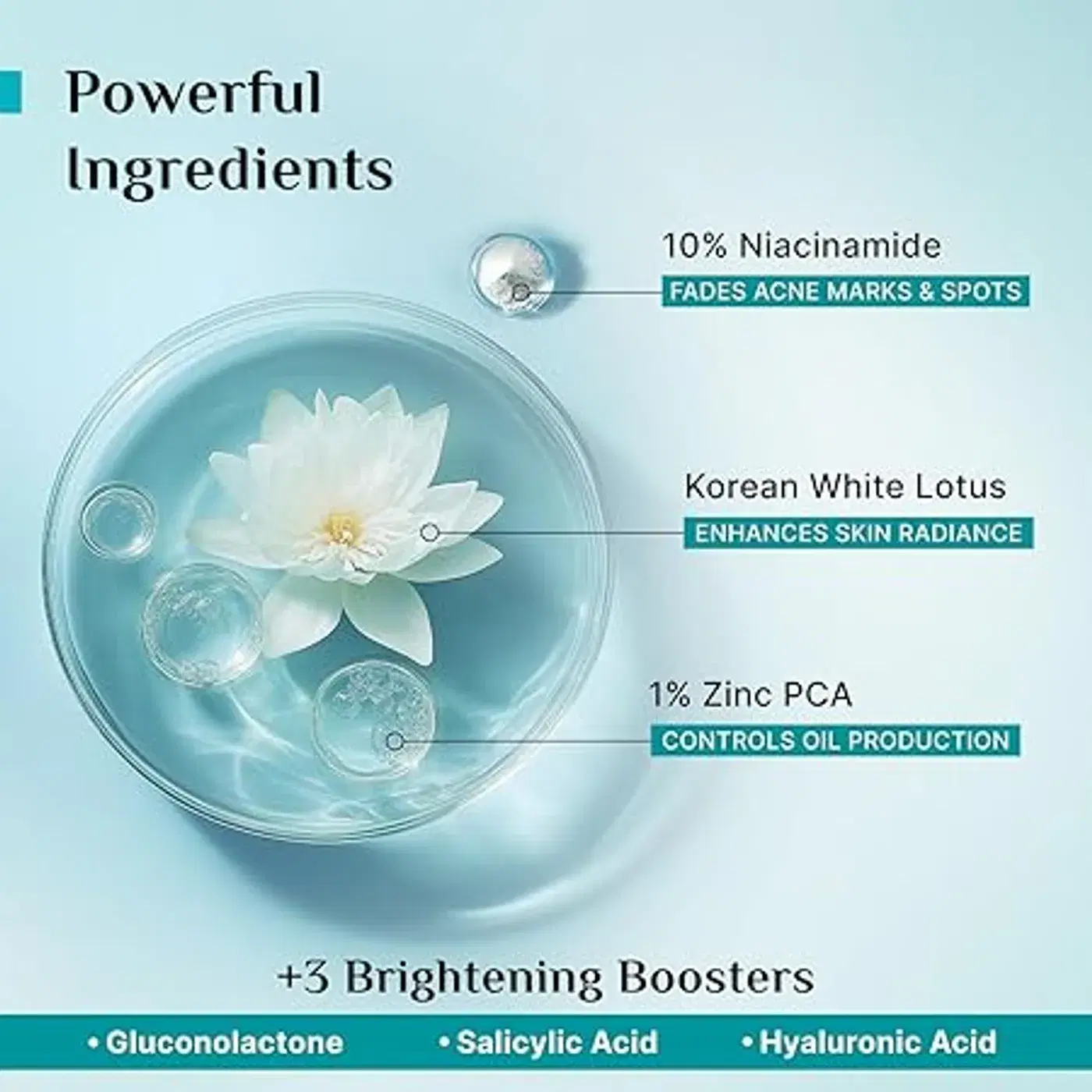 Pilgrim Niacinamide Face Serum for Clear, Bright & Smooth Skin 6 Pilgrim 10% Niacinamide Serum 30ml For Acne Marks|With 1% Zinc PCA, Salicylic & Hyaluronic Acid|Niacinamide Serum For Oily Skin, Acne-Prone, Combination, Normal Skin|Oil Control, Anti-Acne|Women & Men 6
