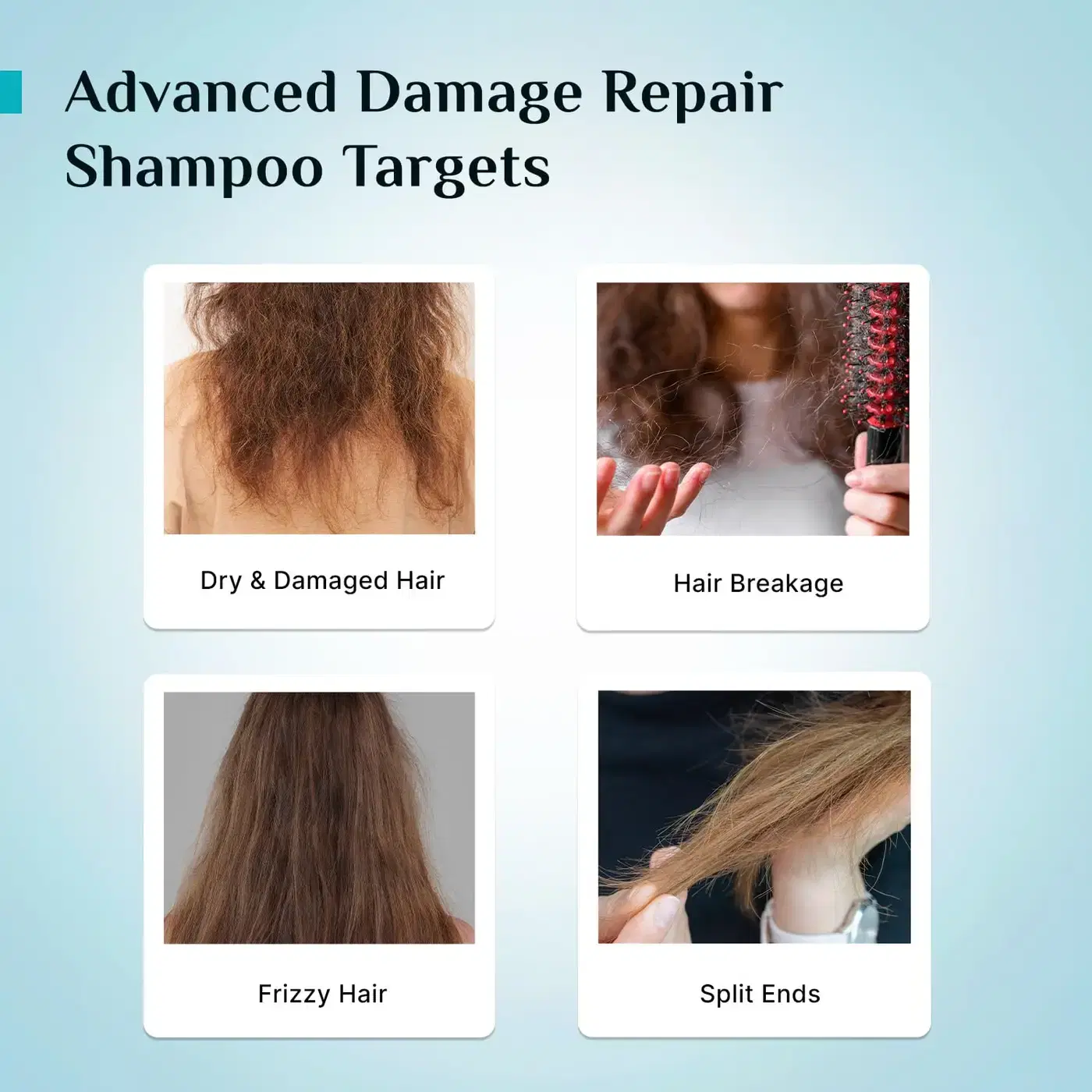 Pilgrim Korean Rice Water & Collagen Shampoo – Repair Dry Hair 4 Pilgrim Korean Rice Water & Collagen Advanced Damage Repair Shampoo| with 17 Amino Acids, Wheat Protein & 5 Ceramides | Paraben-Free | For Dry & Damaged Hair | For Women and Men 4