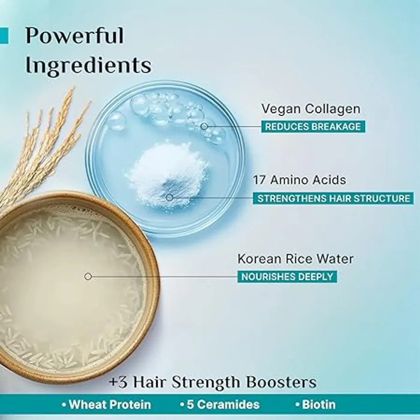 Pilgrim Korean Rice Water & Collagen Shampoo – Repair Dry Hair 5 पिलग्रिम कोरियन राइस वाटर और कोलेजन एडवांस्ड डैमेज रिपेयर शैम्पू | 17 अमीनो एसिड, वीट प्रोटीन और 5 सेरामाइड्स के साथ | पैराबेन-फ्री | रूखे और क्षतिग्रस्त बालों के लिए | महिलाओं और पुरुषों दोनों के लिए 5