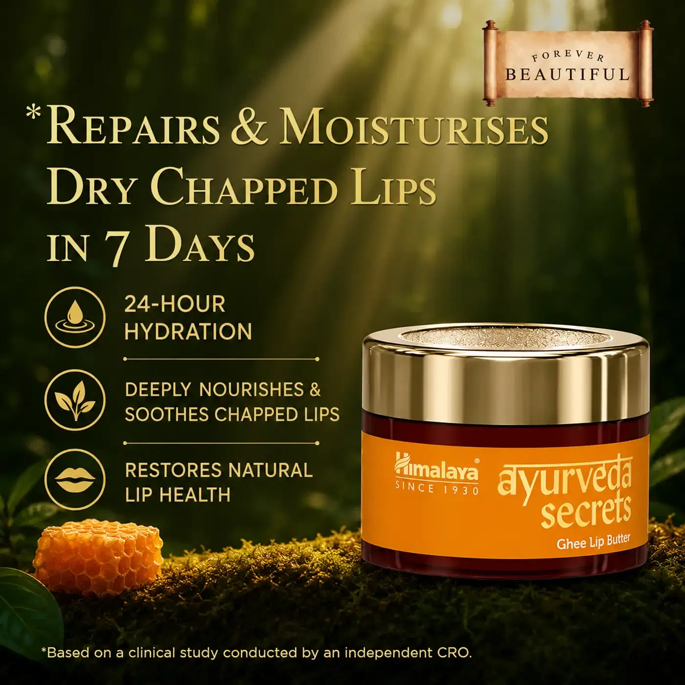Himalaya Ghee Lip Butter | Deeply Hydrates & Repairs Dry Lips 3 हिमालय घी लिप बटर मुलायम और पोषित होंठों के लिए 3