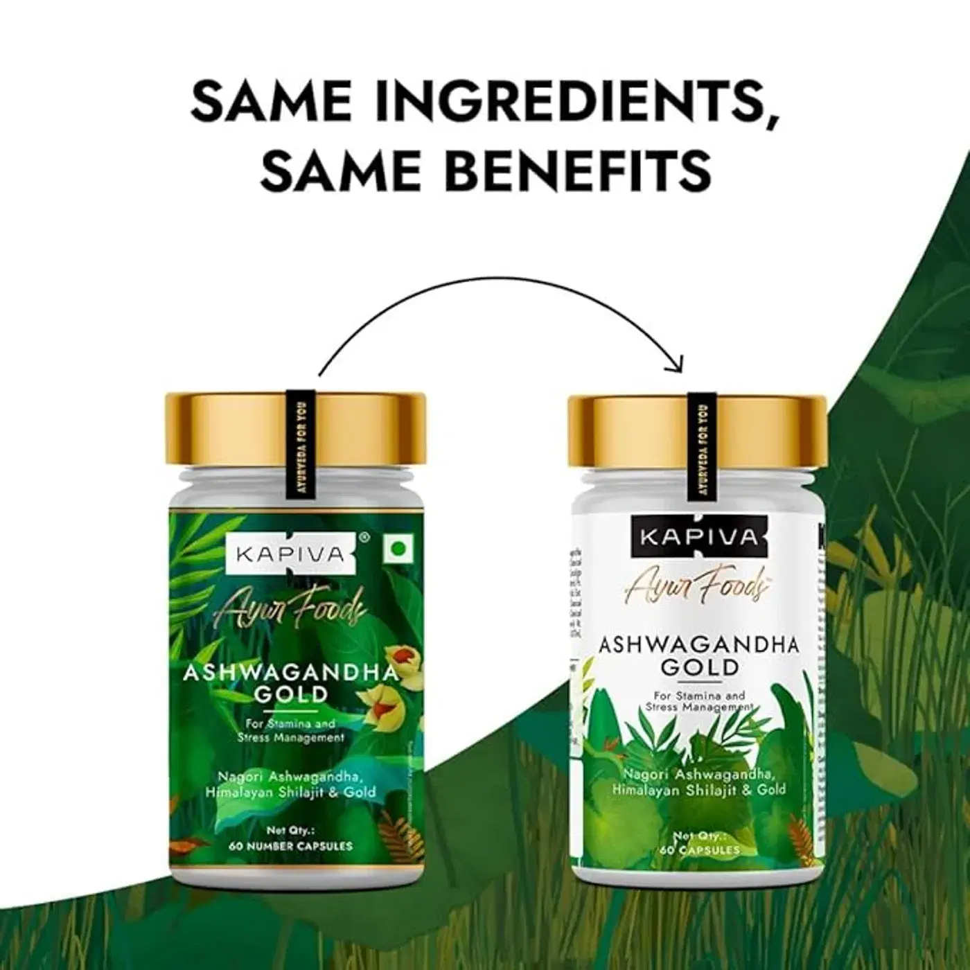Kapiva Ashwagandha Gold for Stress Relief, Energy & Stamina 2 ઉર્જા, શક્તિ અને તાણ વ્યવસ્થાપન માટે કપિવા અશ્વગંધા ગોલ્ડ 2
