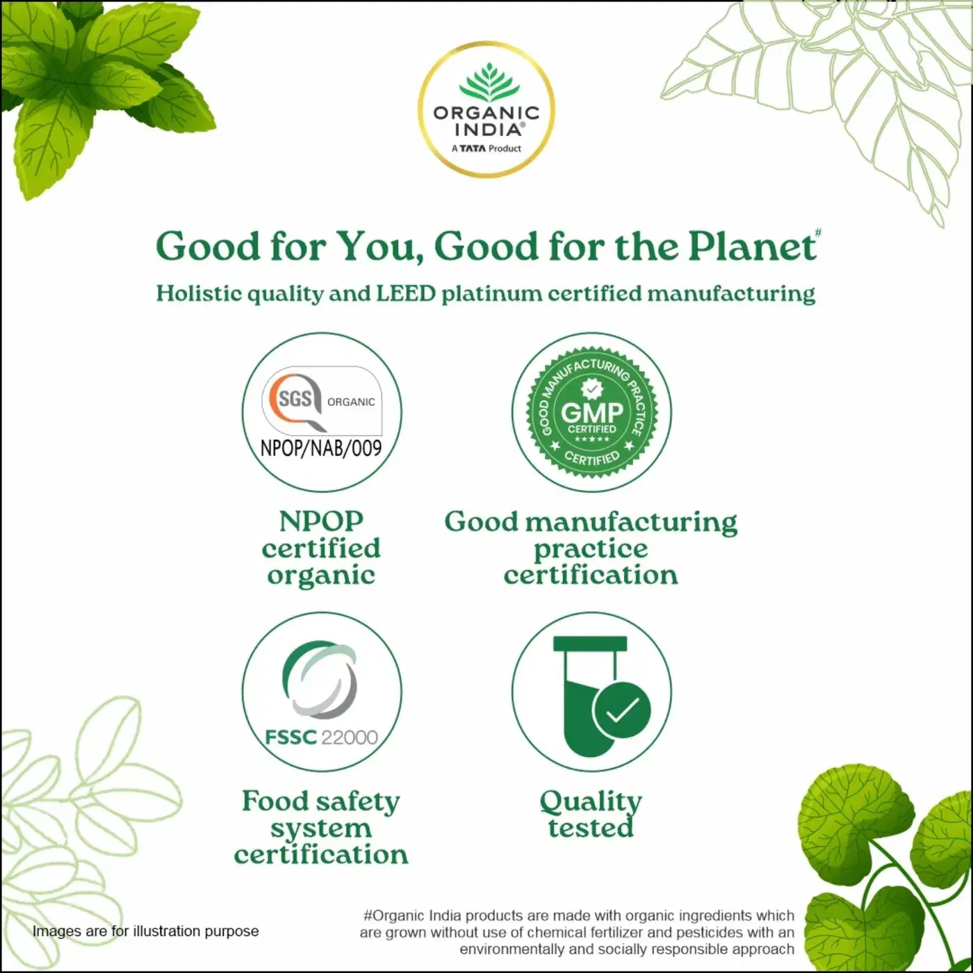 Organic India Moringa Powder for Energy & Immunity 6 Organic India Moringa Powder – Energy, Immunity & Nutrition Support for Daily Wellness 6