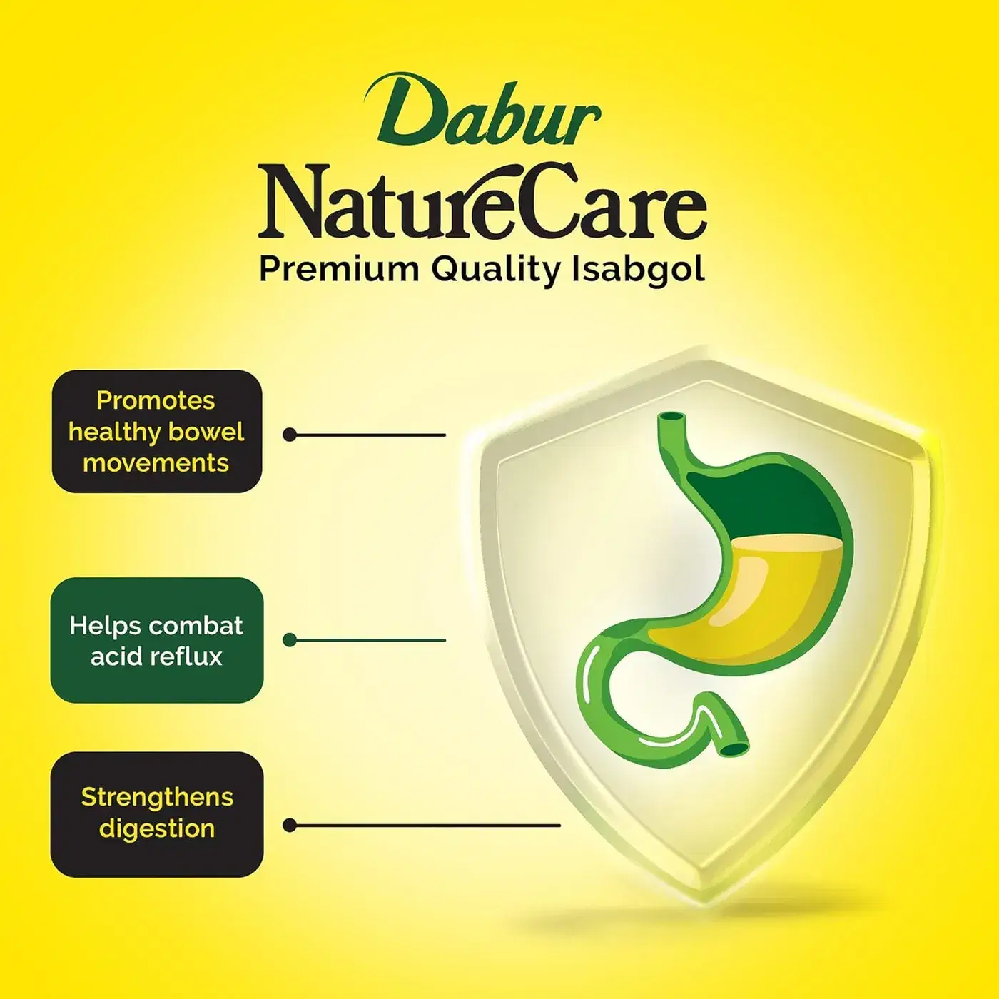 Dabur Nature Care Isabgol | Ayurvedic Constipation Relief 3 डाबर नेचर केयर इसबगोल| कब्ज से प्रभावी राहत प्रदान करता है 3