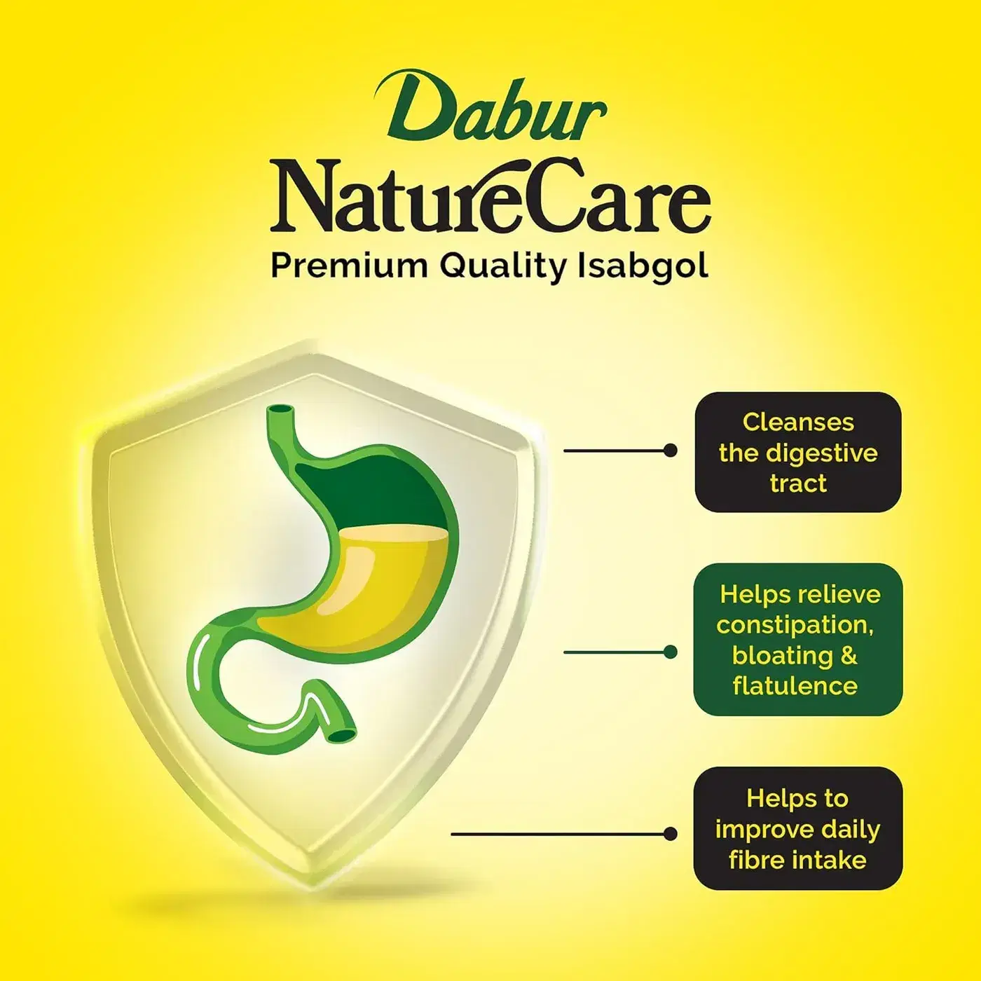 Dabur Nature Care Isabgol | Ayurvedic Constipation Relief 4 डाबर नेचर केयर इसबगोल| कब्ज से प्रभावी राहत प्रदान करता है 4