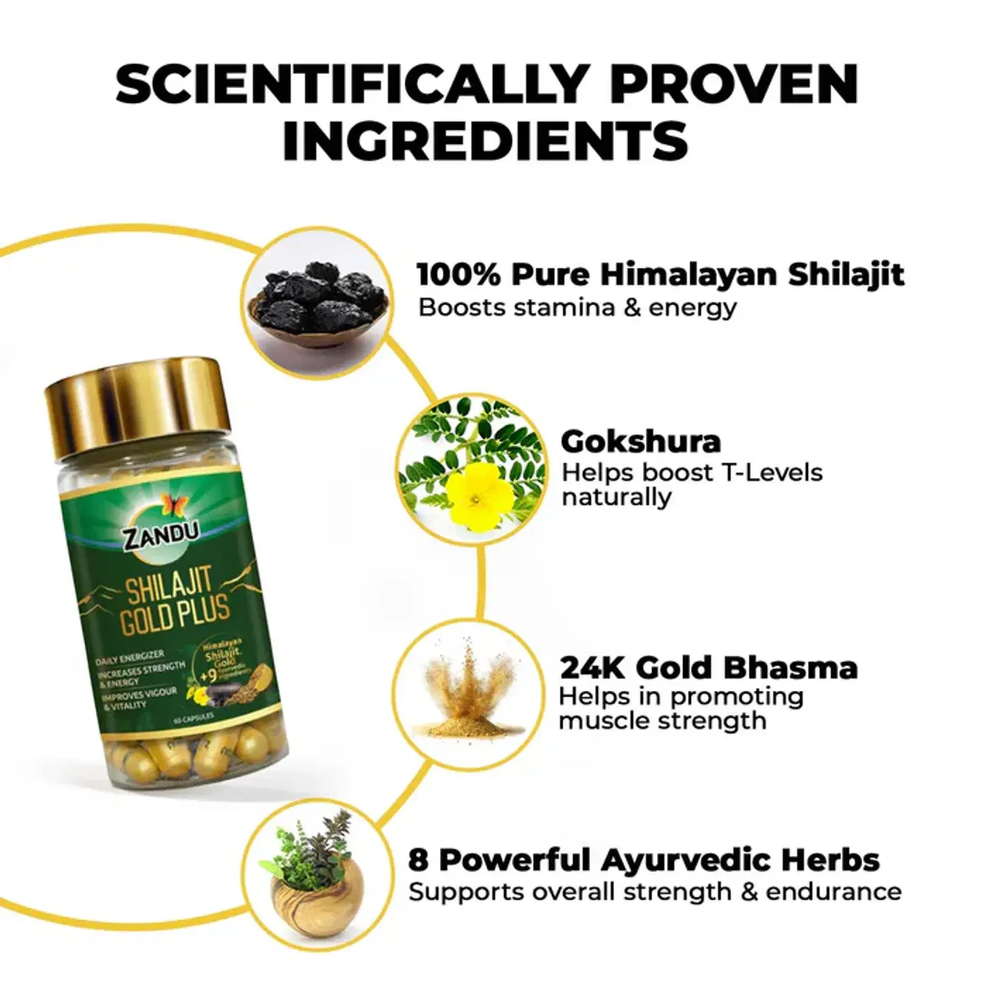 Zandu Shilajit Gold Plus | Boost Stamina & Energy 3 ஜாண்டு ஷிலாஜித் கோல்ட் பிளஸ் கேப்சூல்கள் | 28 நாட்களில் இயற்கையாக உங்கள் ஸ்டாமினா, வலிமை & ஆற்றலை அதிகரிக்கவும் | 100% தூய ஹிமாலயன் ஷிலாஜித் 3