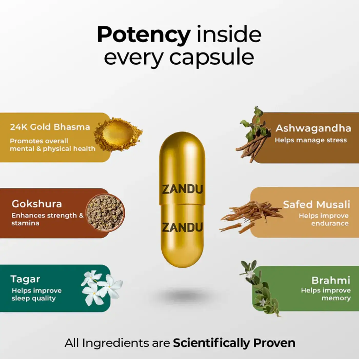 Zandu Ashwagandha Gold Plus Capsules | Manage Stress & Boost Energy 3 Zandu Ashwagandha Gold Plus ক্যাপসুল | স্ট্রেস রিলিফ | ভালো ঘুম ও পেশি পুনরুদ্ধার 3