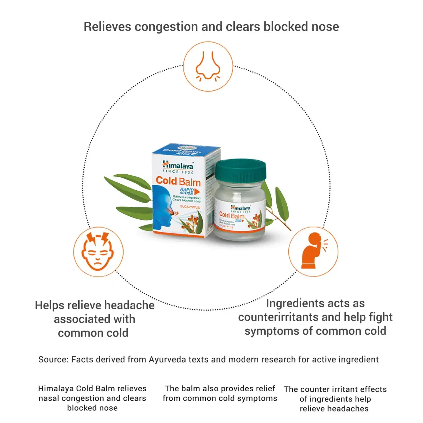 Himalaya Cold Balm | Clears Blocked Nose & Soothes Cold 3 হিমালয়া কোল্ড বাম | বন্ধ নাক খুলে | সর্দি উপশম করে 3