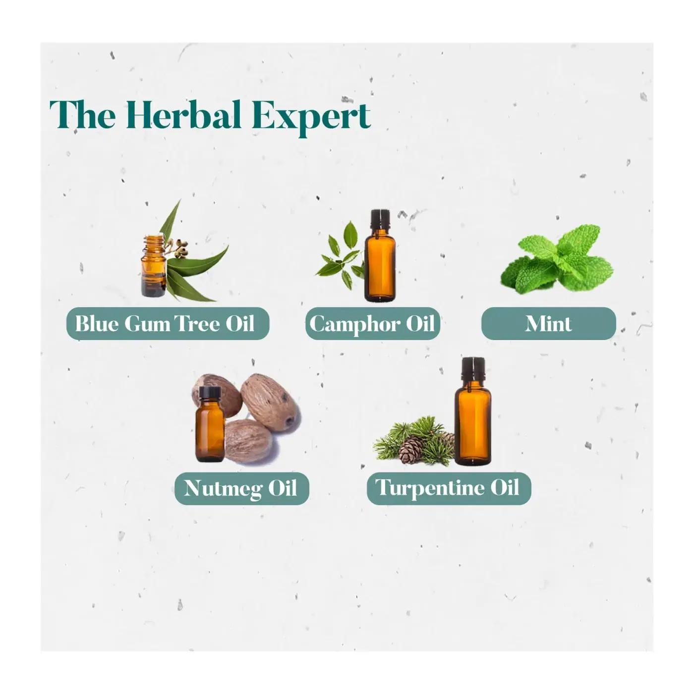 Himalaya Cold Balm | Clears Blocked Nose & Soothes Cold 4 হিমালয়া কোল্ড বাম | বন্ধ নাক খুলে | সর্দি উপশম করে 4
