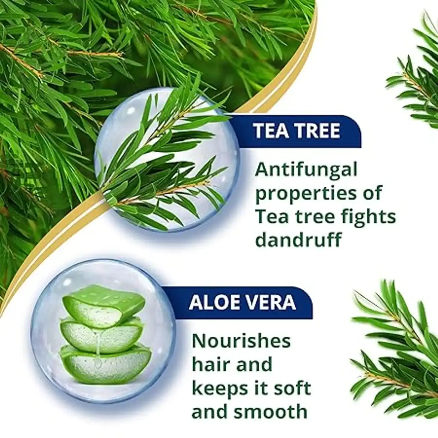 Himalaya Anti Dandruff Shampoo with Tea Tree & Aloe | Quikdu 3 হিমালয়া অ্যান্টি-ড্যানড্রাফ শ্যাম্পু | 100% পর্যন্ত খুশকি দূর করে | স্ক্যাল্পকে শান্ত করে এবং চুলকে পুষ্টি দেয় | টি ট্রি অয়েল ও অ্যালো ভেরার গুণে সমৃদ্ধ | নারী ও পুরুষদের জন্য | 340ml 3