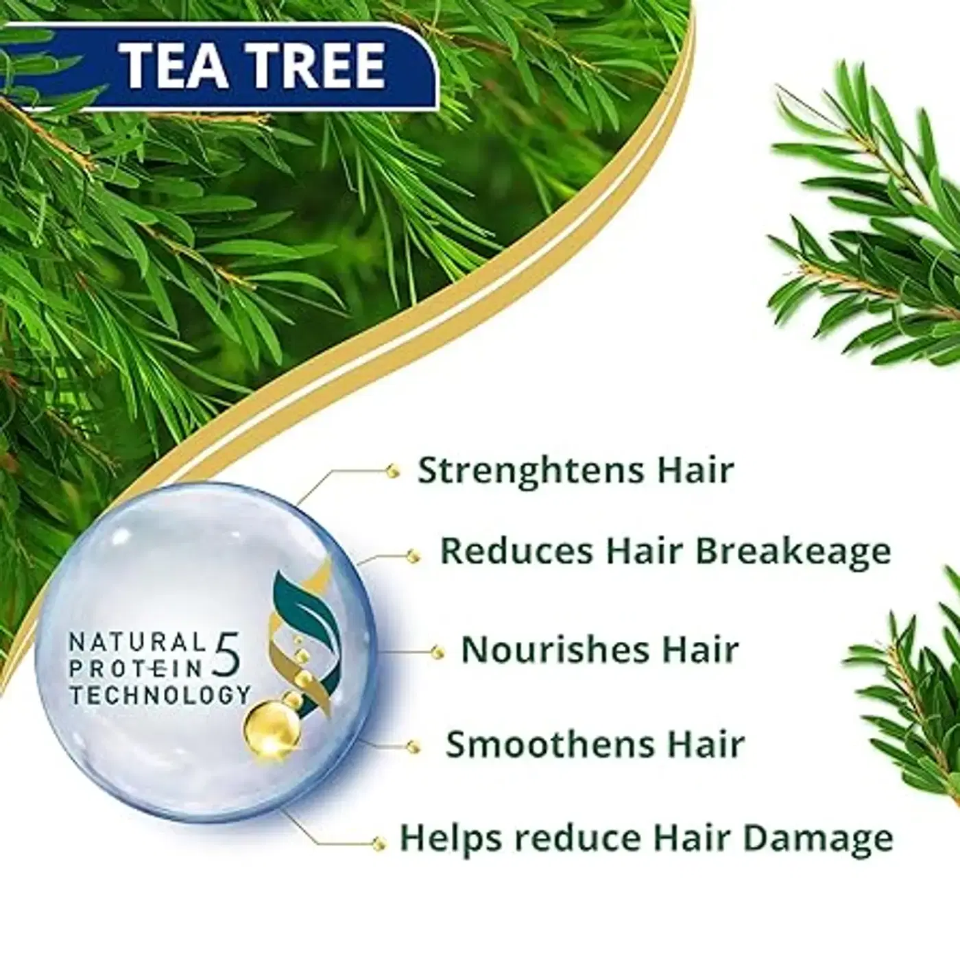 Himalaya Anti Dandruff Shampoo with Tea Tree & Aloe | Quikdu 4 হিমালয়া অ্যান্টি-ড্যানড্রাফ শ্যাম্পু | 100% পর্যন্ত খুশকি দূর করে | স্ক্যাল্পকে শান্ত করে এবং চুলকে পুষ্টি দেয় | টি ট্রি অয়েল ও অ্যালো ভেরার গুণে সমৃদ্ধ | নারী ও পুরুষদের জন্য | 340ml 4