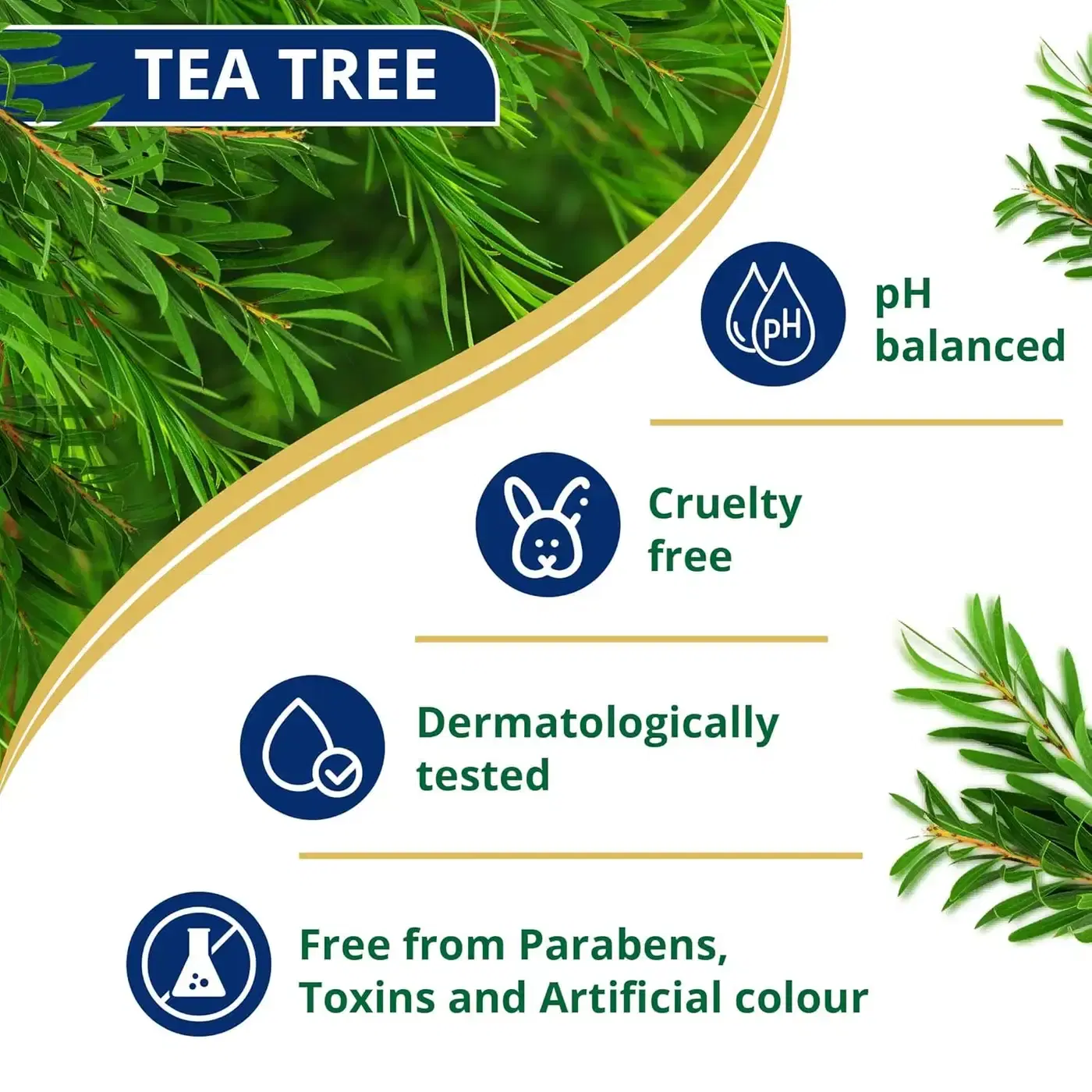 Himalaya Anti Dandruff Shampoo with Tea Tree & Aloe | Quikdu 5 হিমালয়া অ্যান্টি-ড্যানড্রাফ শ্যাম্পু | 100% পর্যন্ত খুশকি দূর করে | স্ক্যাল্পকে শান্ত করে এবং চুলকে পুষ্টি দেয় | টি ট্রি অয়েল ও অ্যালো ভেরার গুণে সমৃদ্ধ | নারী ও পুরুষদের জন্য | 340ml 5