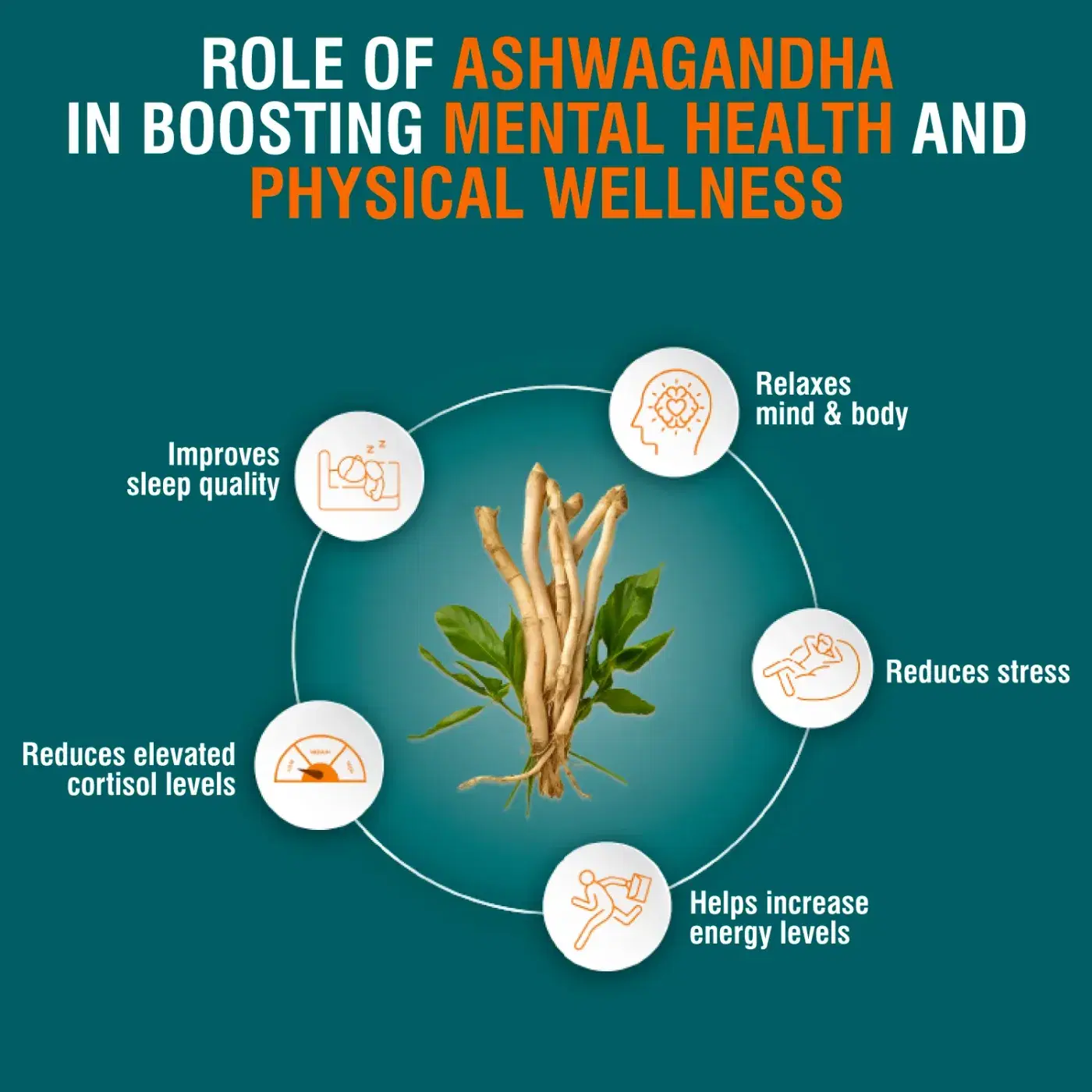Himalaya Ashwagandha Caplet for Stress Support 6 तणाव कमी, ऊर्जा वाढ आणि मन-शरीर पुनरुज्जीवनासाठी हिमालया ऑर्गेनिक अश्वगंधा कॅपलेट्स 6