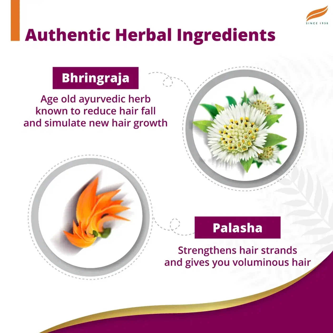 Himalaya Anti-Hair Fall Bhringaraja Shampoo 4 पुरुष आणि महिलांसाठी हिमालया अँटी-हेअर फॉल भृंगराज शॅम्पू | अधिक मजबूत केस आणि कमी केस गळणे 4