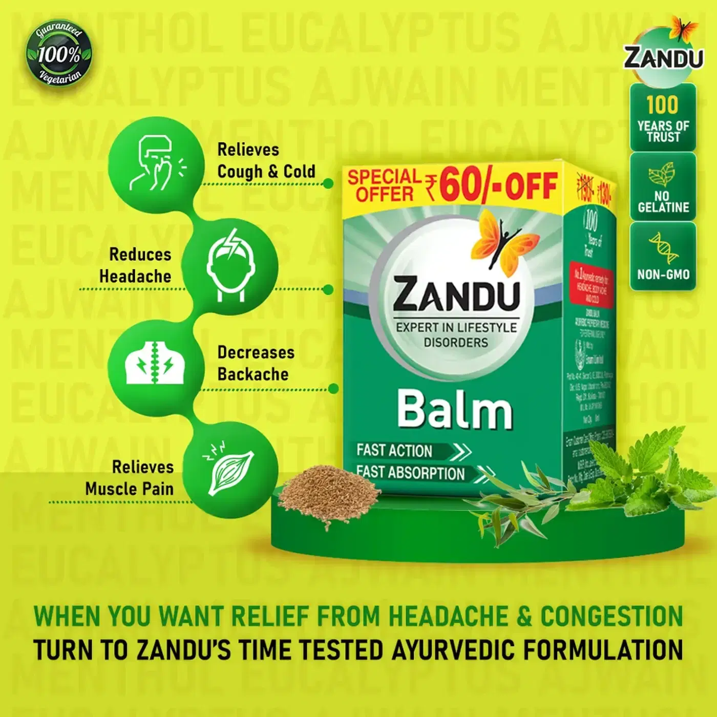 Buy Zandu Balm Online - Quick Pain Relief Ointment 2 జాండూ బామ్ నొప్పి నివారిణి ఆయింట్మెంట్ 2